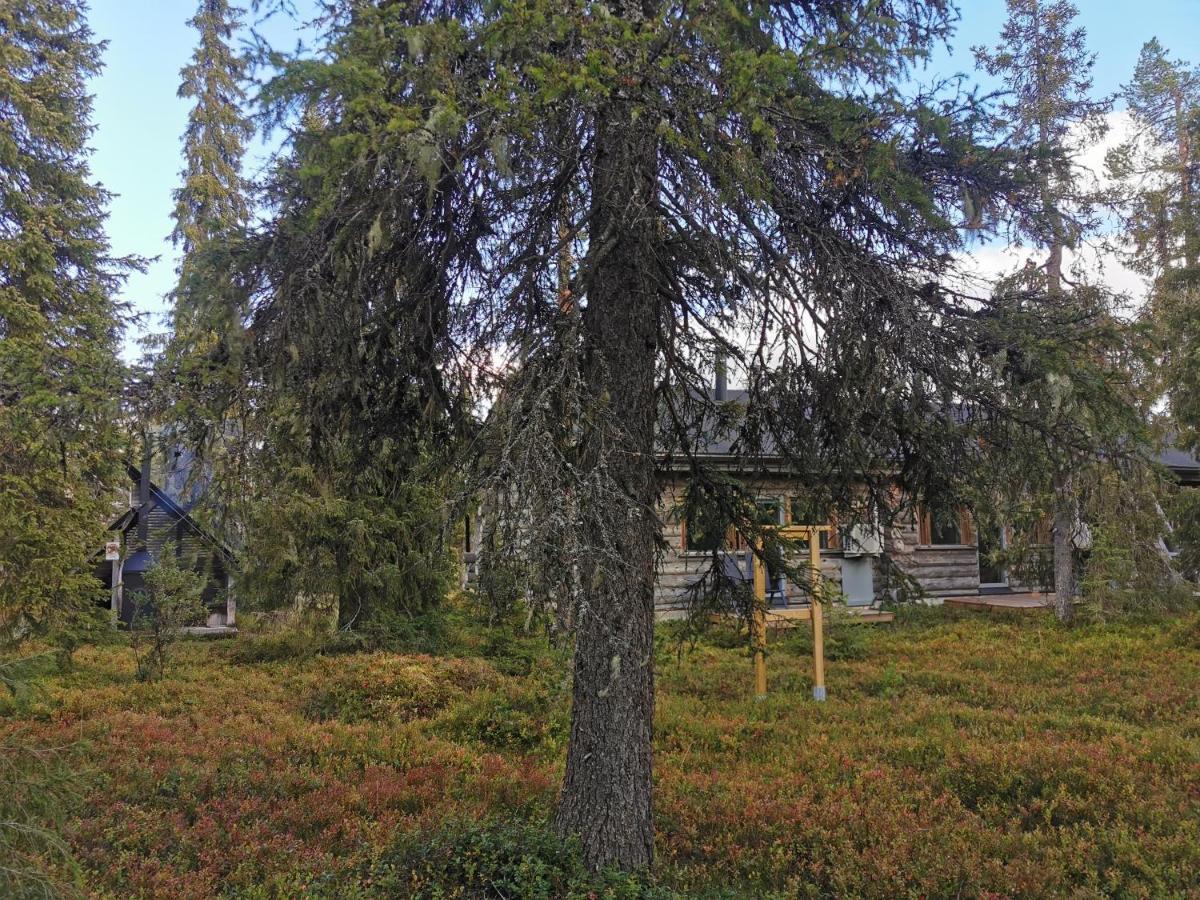 Ruka Inn Zewnętrze zdjęcie