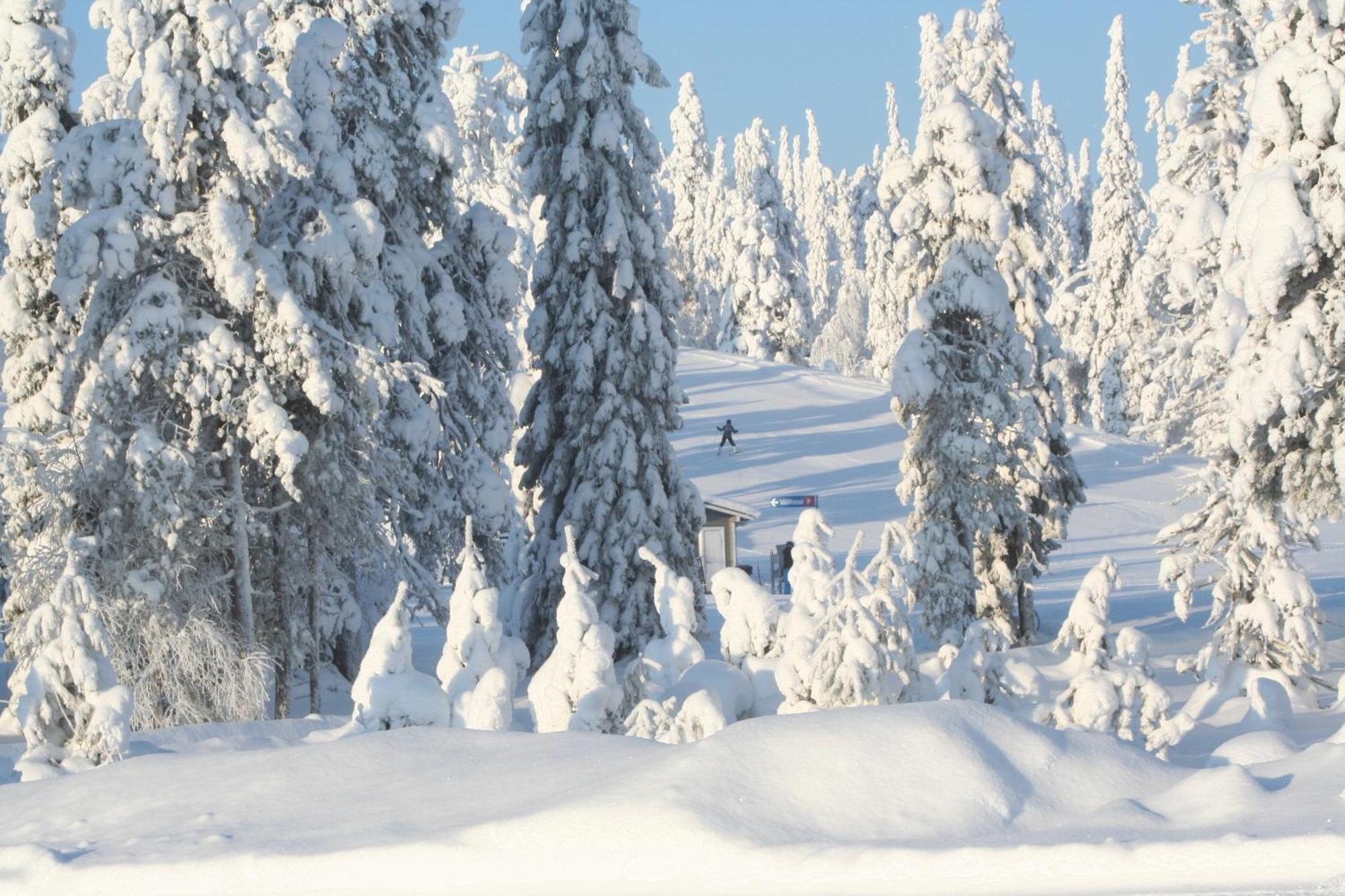 Ruka Inn Zewnętrze zdjęcie
